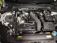 Volkswagen Golf 300TSI Pro - ფოტო 20