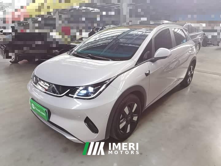 BYD Dolphin Smart Drive 410km Fashion Edition - ავტომობილი ჩინეთიდან