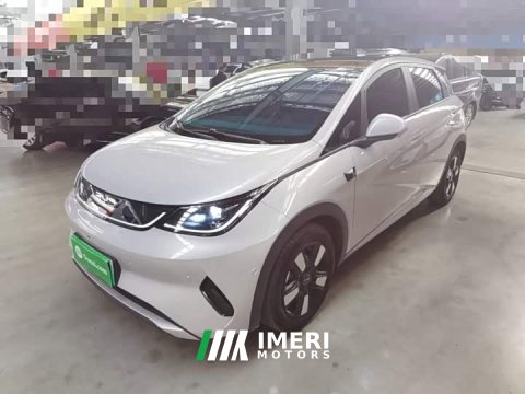 2025 BYD Dolphin Smart Drive 410km Fashion Edition - ავტომობილი ჩინეთიდან