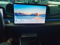 BYD Dolphin Smart Drive 410km Fashion Edition - ფოტო 13