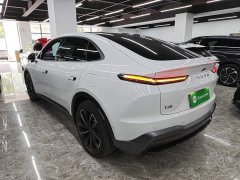 Nio Lerado L60 60kWh Rear-Wheel Drive - ფოტო 5