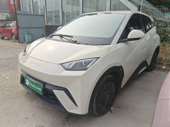 BYD Seagull 2023 Vitality Edition - ფოტო 1
