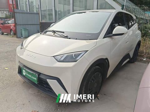 2024 BYD Seagull 2023 Vitality Edition - ავტომობილი ჩინეთიდან