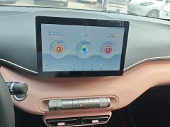 BYD Seagull 2023 Vitality Edition - ფოტო 13