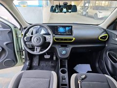 ORA White Cat 2020 305km Luxury - ფოტო 10