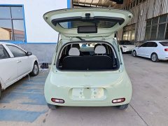 ORA White Cat 2020 305km Luxury - ფოტო 19