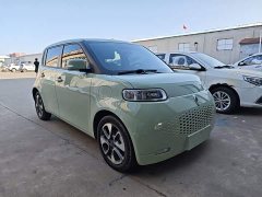 ORA White Cat 2020 305km Luxury - ფოტო 4