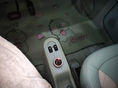 Wuling Hongguang MINIEV Macaron Premium Edition LFP - ფოტო 14