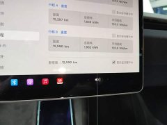 Tesla Model 3 Long Range Rear-Wheel Drive - ფოტო 12