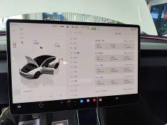 Tesla Model 3 Long Range Rear-Wheel Drive - ფოტო 13