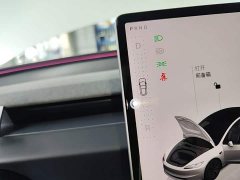 Tesla Model 3 Long Range Rear-Wheel Drive - ფოტო 14