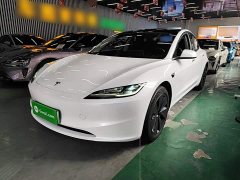 Tesla Model 3 Long Range Rear-Wheel Drive - ფოტო 2