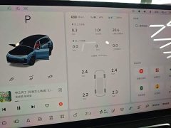 Li Auto L8 Pro - ფოტო 12