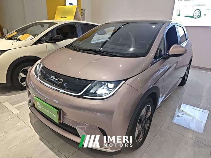 BYD Dolphin Glory Edition 420km Fashion Version - ავტომობილი ჩინეთიდან