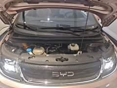 BYD Dolphin Glory Edition 420km Fashion Version - ფოტო 20