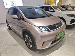 BYD Dolphin Glory Edition 420km Fashion Version - ფოტო 4