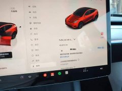 Tesla Model Y Rear-Wheel Drive - ფოტო 12