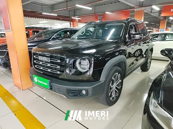 Great Wall Dachshund 1.5T DCT Two-Wheel Drive Border Collie Edition - ავტომობილი ჩინეთიდან