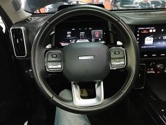 Great Wall Dachshund 1.5T DCT Two-Wheel Drive Border Collie Edition - ფოტო 11