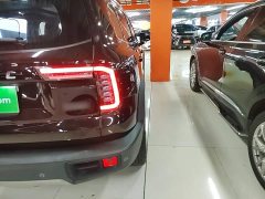 Great Wall Dachshund 1.5T DCT Two-Wheel Drive Border Collie Edition - ფოტო 8