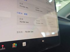 Tesla Model Y Rear-Wheel Drive - ფოტო 12