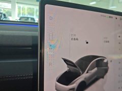 Tesla Model Y Rear-Wheel Drive - ფოტო 14