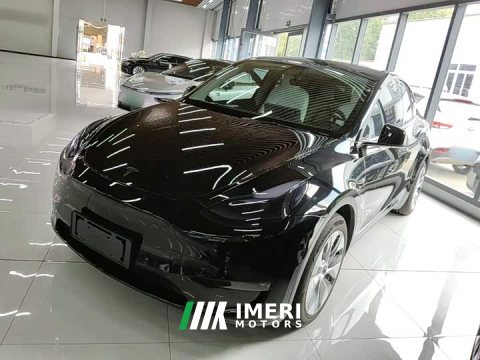 2021 Tesla Model Y Standard Range RWD - ავტომობილი ჩინეთიდან
