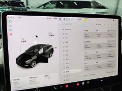 Tesla Model Y Standard Range RWD - ფოტო 12