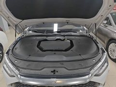 BYD Han 2020 DM AWD Performance Luxury - ფოტო 20