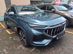 Changan Oushan X5 1.5T DCT Premier - ფოტო 4