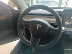 Tesla Model 3 Standard Range RWD Upgrade - ფოტო 11