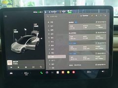 Tesla Model 3 Standard Range RWD Upgrade - ფოტო 12