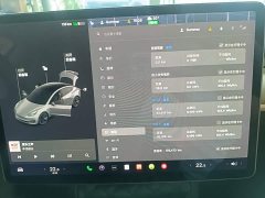 Tesla Model 3 Standard Range RWD Upgrade - ფოტო 13