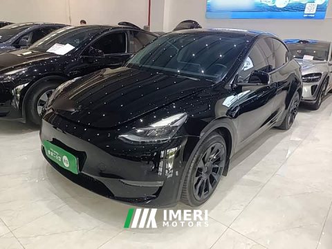 2021 Tesla Model Y Standard Range RWD - ავტომობილი ჩინეთიდან