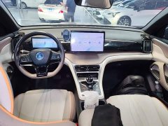 BYD Song Pro New Energy 2023 Champion Edition DM-i 110KM Excellence - ფოტო 10