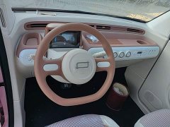 FAW Besturn Xiaoma 222km Colorful Edition - ფოტო 10