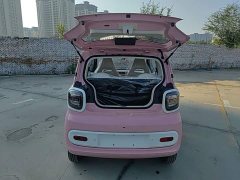 FAW Besturn Xiaoma 222km Colorful Edition - ფოტო 19
