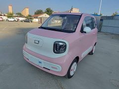 FAW Besturn Xiaoma 222km Colorful Edition - ფოტო 2