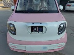 FAW Besturn Xiaoma 222km Colorful Edition - ფოტო 20