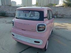 FAW Besturn Xiaoma 222km Colorful Edition - ფოტო 7