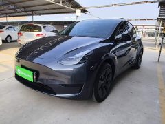 Tesla Model Y Rear-Wheel Drive - ფოტო 1