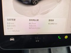 Tesla Model Y Rear-Wheel Drive - ფოტო 12