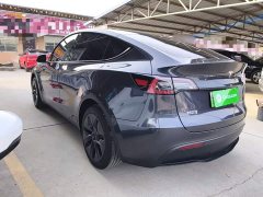 Tesla Model Y Rear-Wheel Drive - ფოტო 5