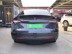 Tesla Model Y Rear-Wheel Drive - ფოტო 6