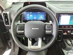 Great Wall Dachshund 2021 Facelift 1.5T DCT Two-Wheel Drive Malinois Edition - ფოტო 11