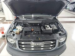 Great Wall Dachshund 2021 Facelift 1.5T DCT Two-Wheel Drive Malinois Edition - ფოტო 20