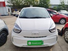 SAIC Corey Wei CLEVER 2021 302km Excellence Edition - ფოტო 3