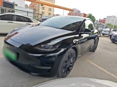 Tesla Model Y Performance All-Wheel Drive - ფოტო 1