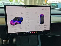 Tesla Model Y Performance All-Wheel Drive - ფოტო 13