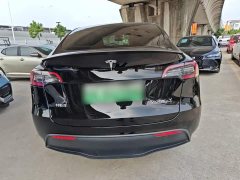 Tesla Model Y Performance All-Wheel Drive - ფოტო 6
